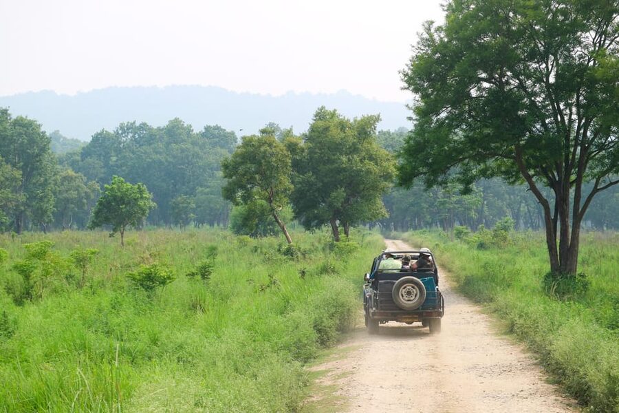 2 Days Chitwan Jungle Safari Tour from Pokhara/Kathmandu - Rainbow Safari Resort Comfort and Included Meals