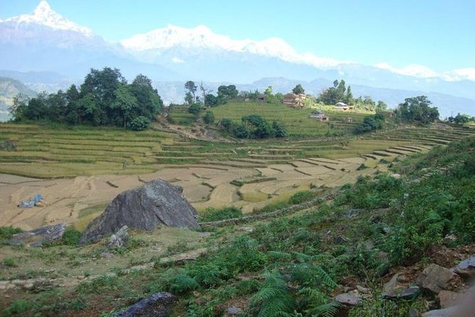 2 Days Panchase Hill Trek from Pokhara - Day 2 sunrise hike to Panchase Hill top, then down to Ghatichhina