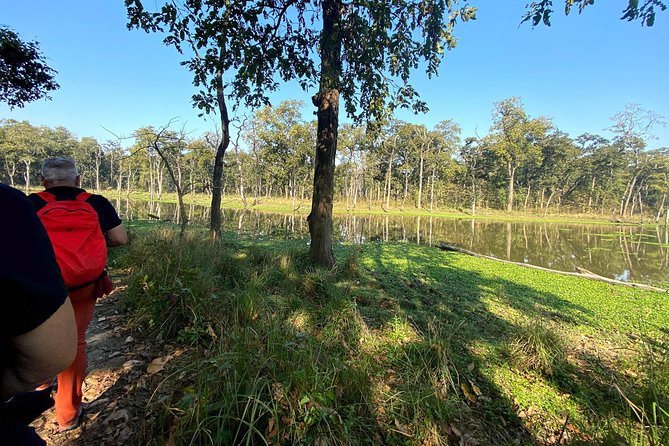 2 Hours Nature Walk in Chitwan National Park - Quick highlights
