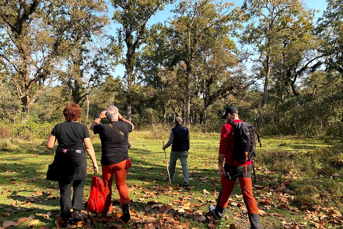 2 Hours Nature Walk in Chitwan National Park - Why this 2-hour Chitwan walk feels like a smart day-plan