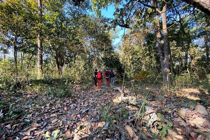 2 Hours Nature Walk in Chitwan National Park - What happens inside the park during those 2 hours