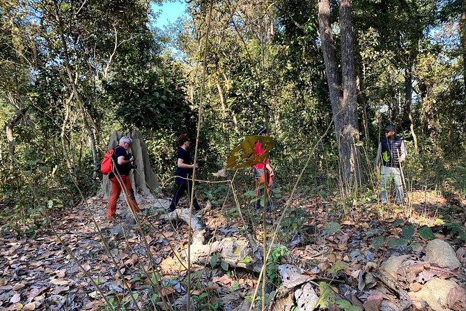 2 Hours Nature Walk in Chitwan National Park - Wildlife spotting reality check, and how to maximize your odds