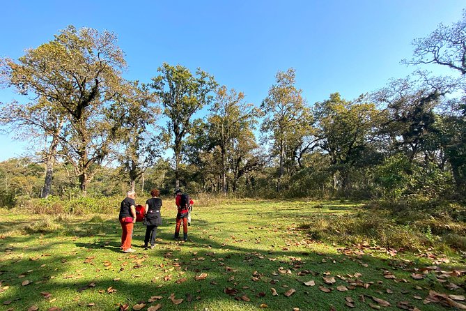 2 Hours Nature Walk in Chitwan National Park - Getting there: pickup, private group, and the simple logistics that help