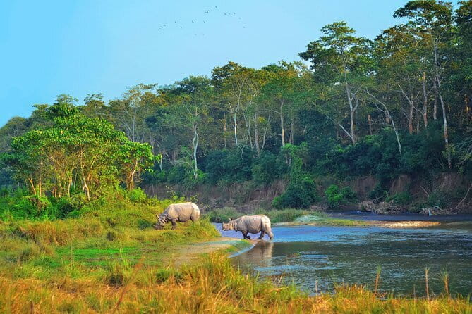 2 Night 3 Day Chitwan Jungle Safari Tour from Pokhara - Key things I’d mark as highlights