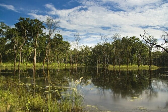 2 Night 3 Day Chitwan Jungle Safari Tour from Pokhara - Day 1: Pokhara to Sauraha, the 6 to 7 hour transfer that sets the tone