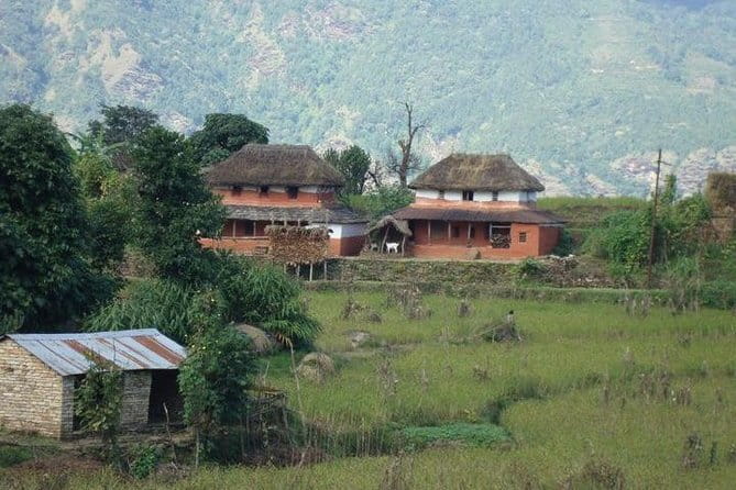 2 Night 3 Day Chitwan Jungle Safari Tour from Pokhara - The Tharu community and traditional dances: culture you can actually talk about later