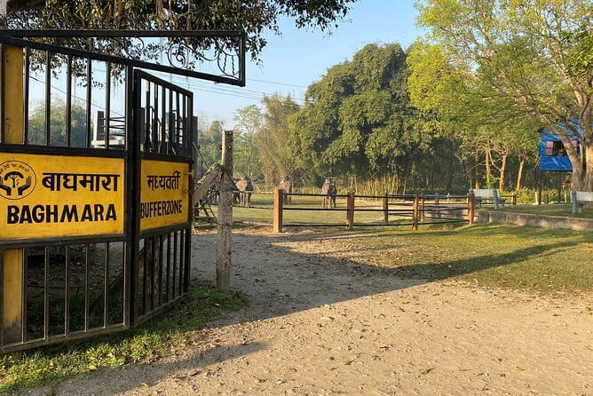 2 Nights 3 Days Chitwan National Park Package with Jeep Safari - Day 2: full day Chitwan National Park with jeep safari, water, and more