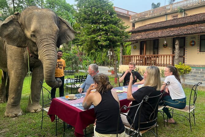 2 Nights 3 Days Chitwan National Park Package with Jeep Safari - Food, comfort, and what to pack for a jeep safari