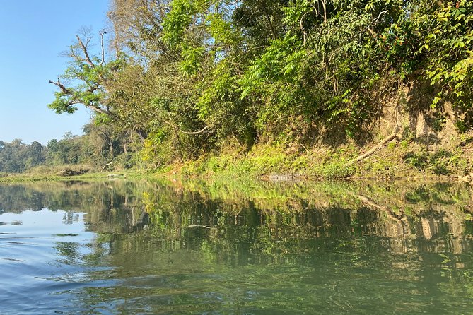 2 Nights 3 Days Chitwan Safari Tour from Kathmandu or Pokhara - Day 2: Jeep Safari, Jungle Museum, and Tharu Culture