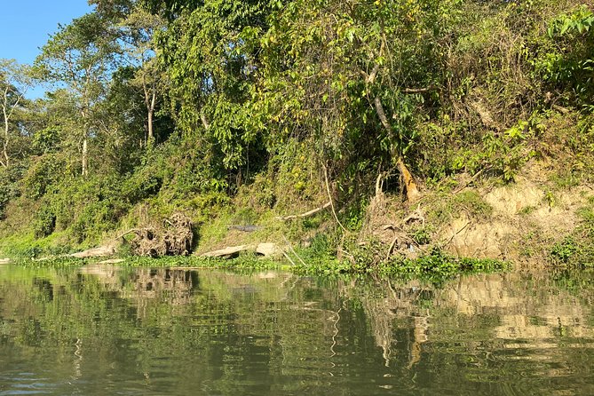 2 Nights 3 Days Chitwan Safari Tour from Kathmandu or Pokhara - Group Size, Guide Style, and How Smooth It Feels