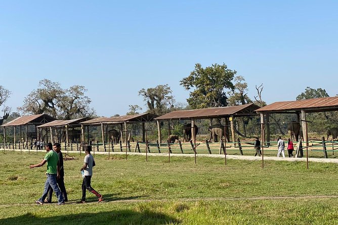 2 Nights 3 Days Chitwan Wildlife Jungle Safari Package Tour - Day 1 in Chitwan: Tharu culture, visitor centre, and Rapti sunset