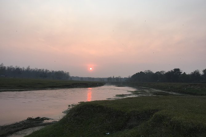 2 Nights 3 Days Chitwan Wildlife Jungle Safari Package Tour - Day 3 bird watching before your return ride