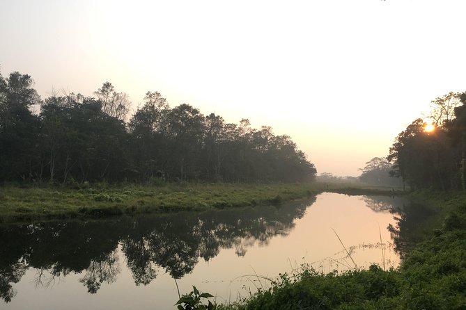 2 Nights 3 Days Chitwan Wildlife Jungle Safari Package Tour - Who should book this Chitwan safari package