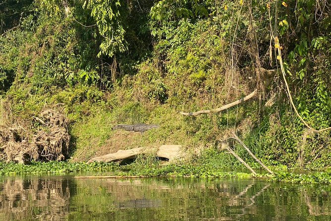 2 Nights 3 Days Chitwan Wildlife Jungle Safari Package Tour - Price and what you actually get for $192