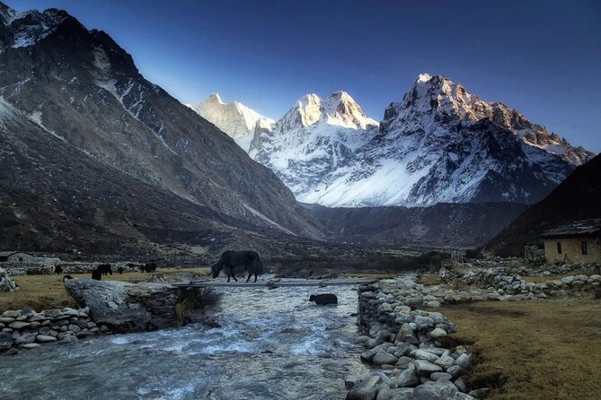 20 Days Private Kanchenjunga Circuit Trek - Getting Deeper: Chirwa, Lelep, Amjilosa, and the Trail Ladder Begins