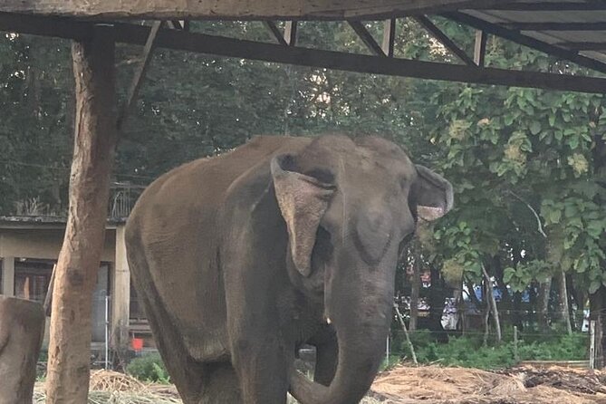 3-Day All Inclusive Chitwan Jungle Safari Tour From Kathmandu - Why this Chitwan safari feels different from a basic day trip