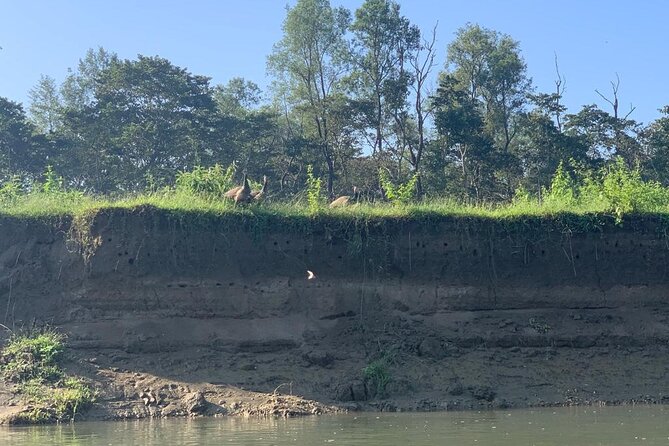 3-Day All Inclusive Chitwan Jungle Safari Tour From Kathmandu - Day two in the park: canoe ride on the Rapti River