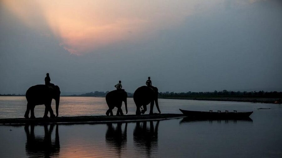 3-Day Chitwan Jungle Safari Adventure From Kathmandu/Pokhara - Should You Book This Chitwan 3-Day Safari from Kathmandu or Pokhara?