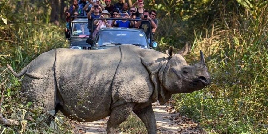 3-Day Chitwan Jungle Safari Adventure From Kathmandu/Pokhara - Price and Value: Is $158 Reasonable for This 3-Day Package?