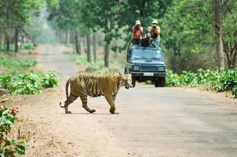 3-Day Chitwan Jungle Safari Adventure From Kathmandu/Pokhara - Getting to Sauraha: The 6-Hour Coach Ride and First Welcome Setup