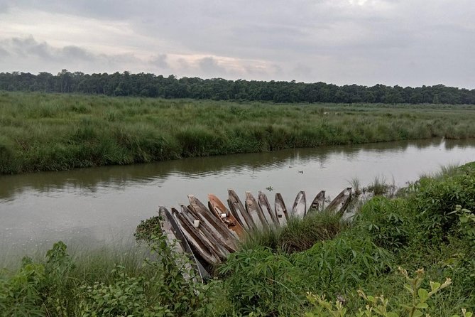 3-Day Chitwan Jungle Safari Tour from Kathmandu - The safari reality check: wildlife is luck, but you can stack the odds