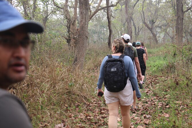 3-Day Chitwan National Park Jungle Safari Tour Package with Pick Up - A 3-Day Chitwan Safari Loop From Kathmandu, With Pickup Included