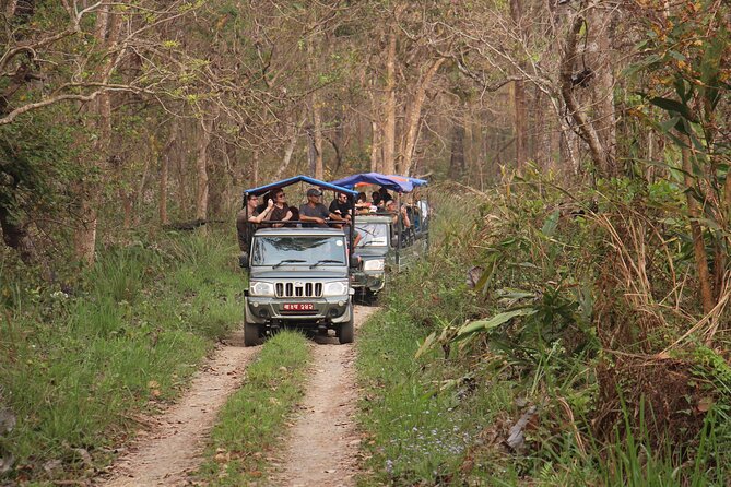 3-Day Chitwan National Park Jungle Safari Tour Package with Pick Up - Day 3: Birdwatching, Timing for the Return, and Back to Kathmandu
