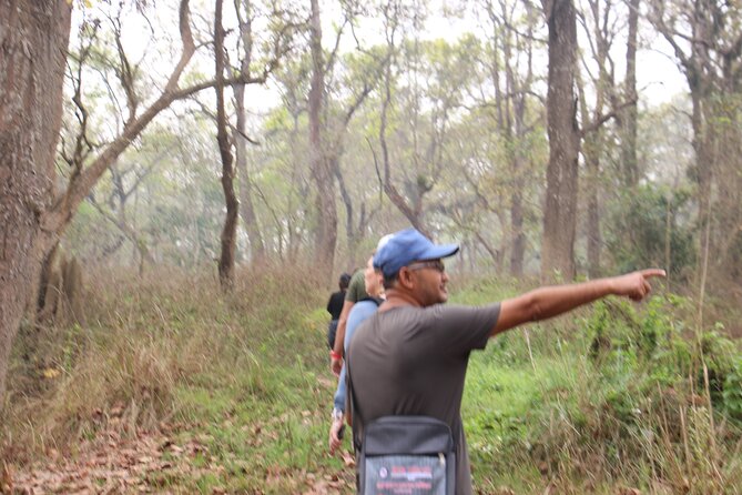 3-Day Chitwan National Park Jungle Safari Tour Package with Pick Up - Day 1: Arrival, Resort Check-In, and Tharu Village Culture