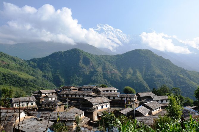 3-Day Ghandruk Loop Trek from Pokhara - Day 2: Sunrise Over the Himalayas, paddy Fields, Landruk, and the Climb to Pothana
