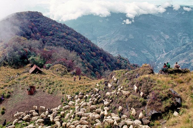 3-Day Ghandruk Loop Trek from Pokhara - Your Guide, Your Porter, and the Pace That Helps You Enjoy It