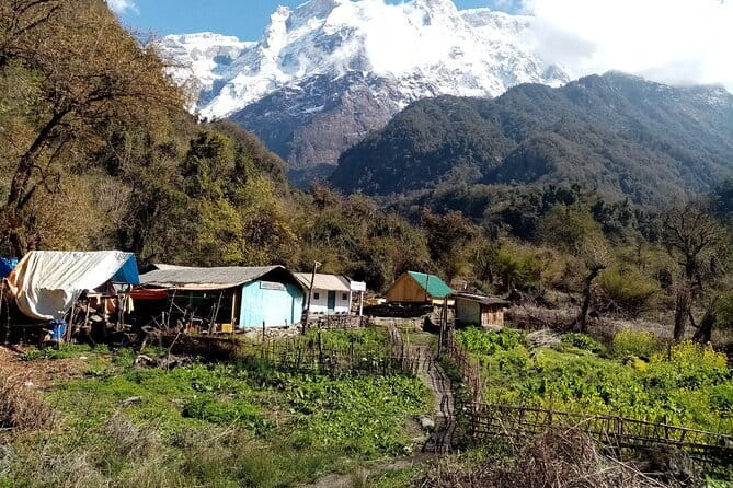 3 Day Kapuche Glacier Lake Trek with Siklesh from Pokhara - Price and Value: What $195 Covers, and What It Does Not