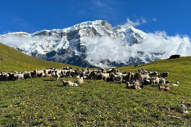 3 Day Kapuche Glacier Lake Trek with Siklesh from Pokhara - Transportation and Group Style: Jeep Transfers, Private Trip, Mobile Ticket