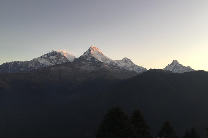 3-Day Poon Hill Trek from Pokhara. - Pokhara pickup and private transport, where comfort starts