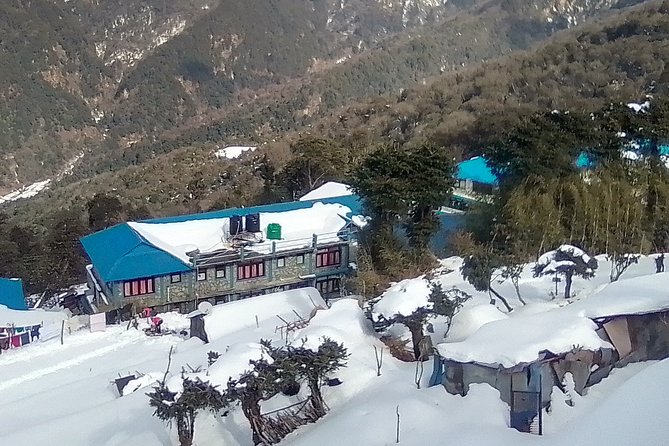 3 Days 2 Nights Poon Hill Trekking - Day 3: Ghandruk to Nayapul, Then Off the Trail