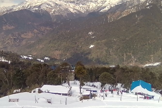 3 Days 2 Nights Poon Hill Trekking - Day 2: Early Trek to Poon Hill Sunrise, Then Back to Ghandruk