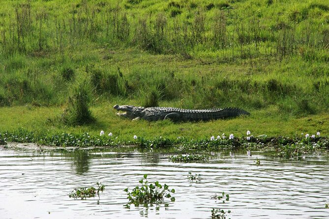 3 Days and 2 Nights Chitwan National Park Safari Tour in Pokhara - Day 1: Arrival in Sauraha, Hotel Check-in, and a Tharu Village Cultural Show