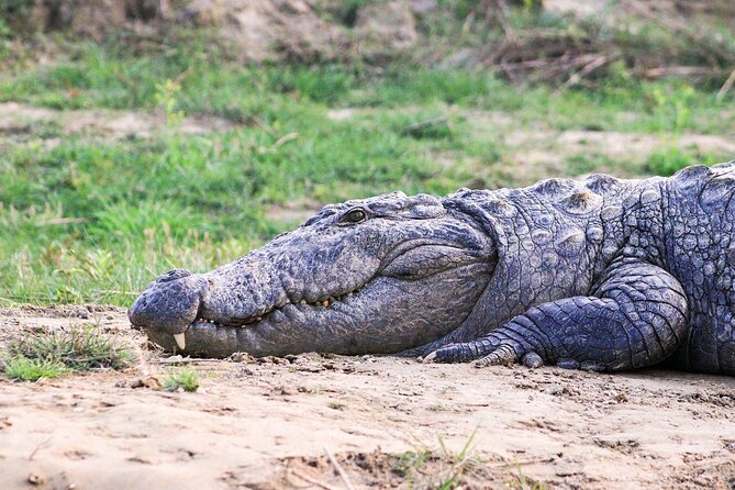 3 Days and 2 Nights Chitwan National Park Safari Tour in Pokhara - Day 3: Breakfast, Check-out, and the Trip Back Toward Pokhara or Kathmandu