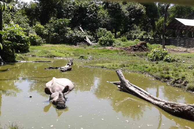 3 Days and 2 Nights Chitwan National Park Safari Tour in Pokhara - Price and Value: What $215 Really Buys You