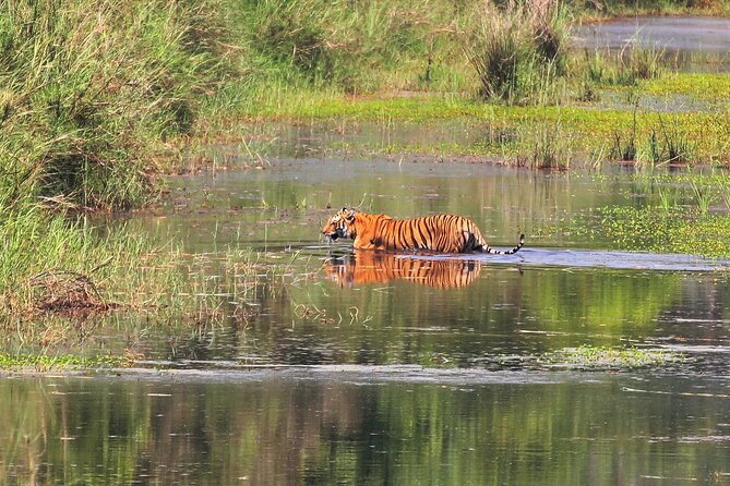 3 Days and 2 Nights Chitwan National Park Safari Tour in Pokhara - Best-Fit Travelers and Who Should Re-think