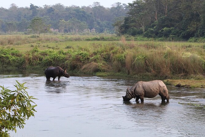 3 Days and 2 Nights Chitwan National Park Safari Tour in Pokhara - Who Runs This Experience, and How to Get the Most Out of It