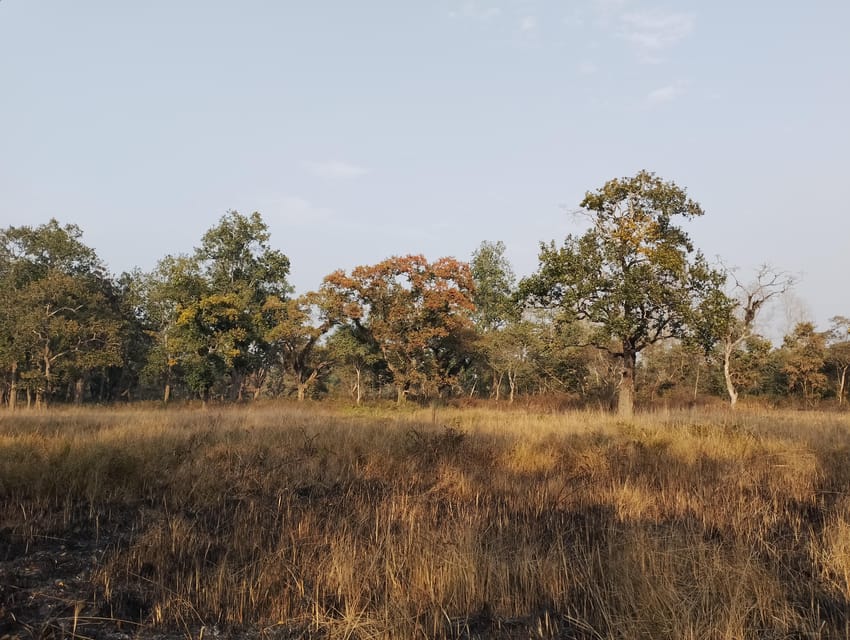 3 Nights 4 Days Chitwan National Park with Tower Night Stay - Price and value: what $300 buys, and what you might add