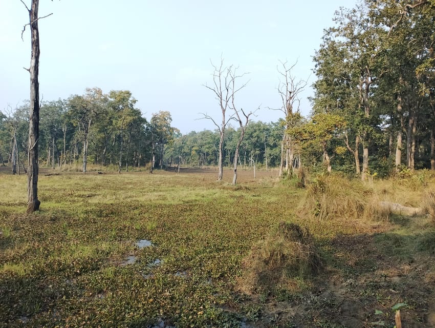 3 Nights 4 Days Chitwan National Park with Tower Night Stay - Getting to Chitwan: the bus ride trade-off