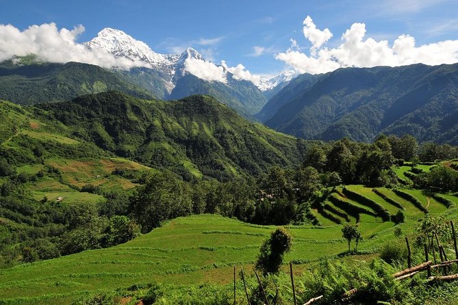 4-day Poon Hill Trek - Teahouses and Meals: The Comfort That Actually Helps You Hike
