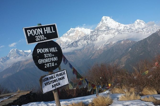 4-day Poon Hill Trek - The Guide Factor: Why Purna’s Style Gets Mentioned