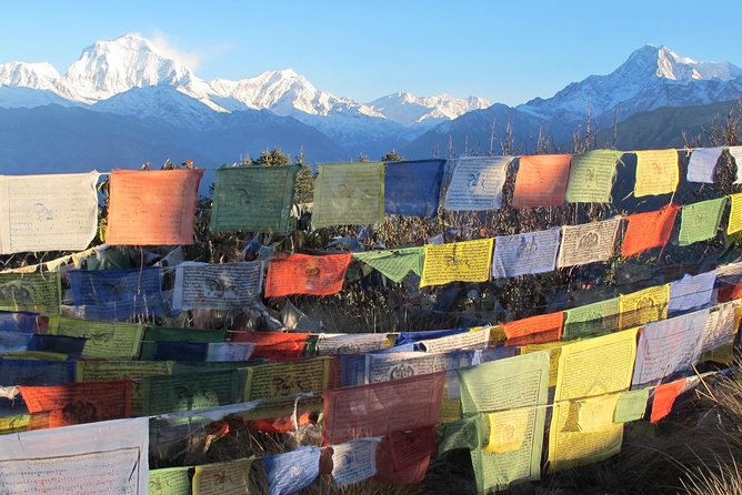 4-Day Private Poon Hill Trekking Tour - Ulleri day: your first real taste of the hills