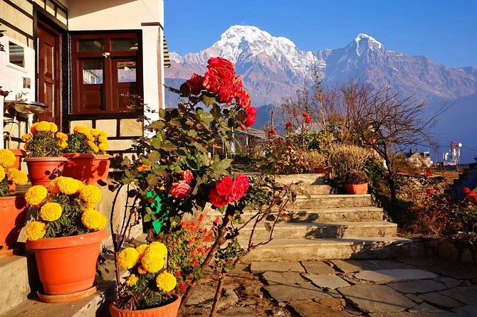 4-Day Private Poon Hill Trekking Tour - Poon Hill sunrise at 3,210 m: the early wake-up that makes the whole trek work