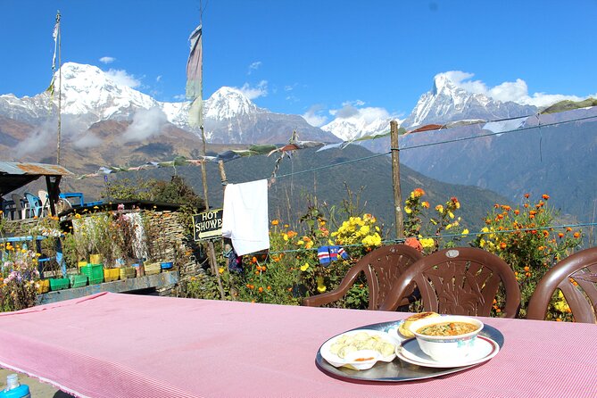 4-Day Private Trekking Experience to Poon Hill and Ghandruk - Day 2 Toward Ghorepani: Rhododendron Forests and Peak Views From Your Room