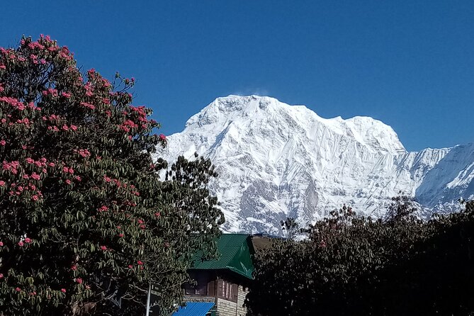 4 Days Amazing Trekking from Pokhara-Ghorepani Poon Hill - Day 2: Ghorepani Village Time and the Community Hospital Stop
