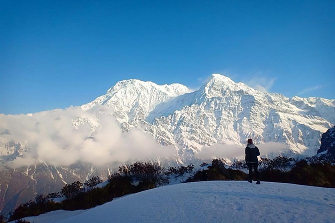 4 Days Mardi Himal Base Camp Trek - 4500 Meters - Price and value: what $260 buys you