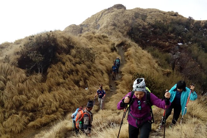 4 Days Mardi Himal Base Camp Trek from Pokhara - Why Mardi Himal Base Camp works better in 4 days than you might expect
